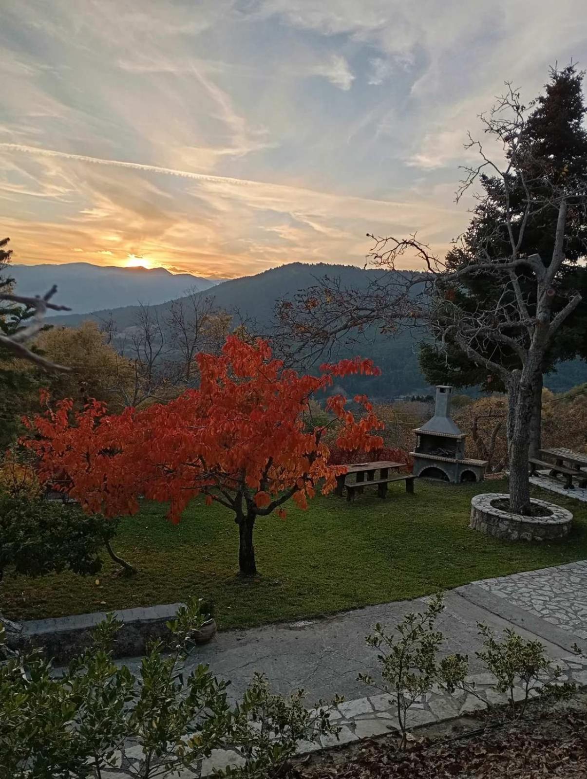 Ξενώνας Το Πατρικό Karya エクステリア 写真